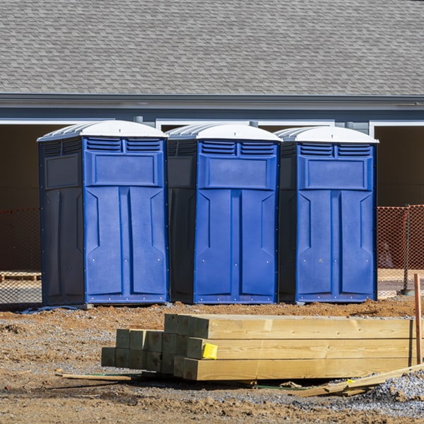 are there any restrictions on what items can be disposed of in the porta potties in Mount Pleasant NY